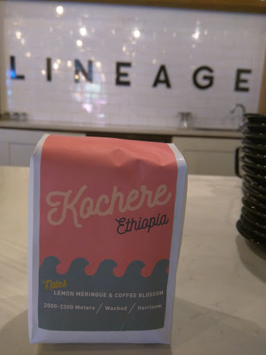 Coffee Store «Lineage Coffee Roasting», reviews and photos, 3201 Corrine Dr, Orlando, FL 32803, USA