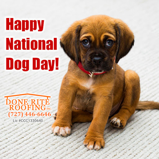 Roofing Contractor «Done Rite Roofing Inc», reviews and photos, 12438 Bristol Commons Cir, Westchase, FL 33626, USA