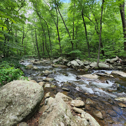 National Park «Shenandoah National Park», reviews and photos