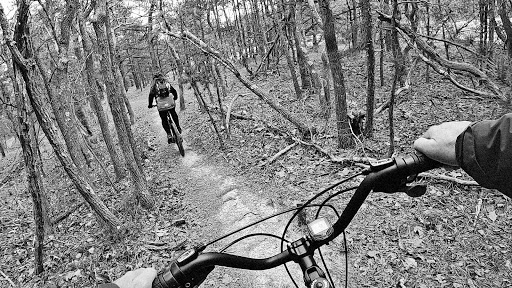 Nature Preserve «Black Run Preserve», reviews and photos, Kettle Run Rd, Evesham Township, NJ 08053, USA