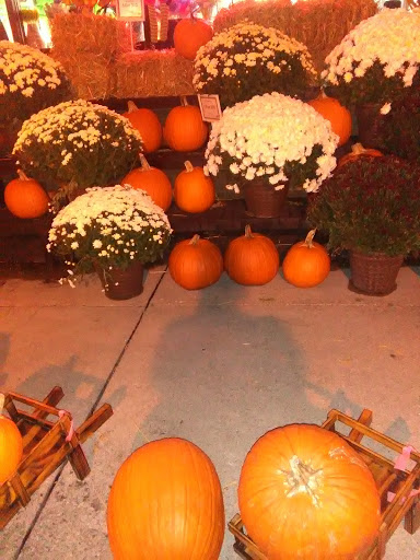 Florist «Flowerama», reviews and photos, 7584 Pearl Rd, Cleveland, OH 44130, USA