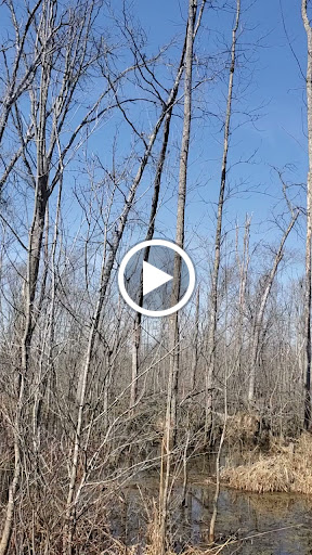 Nature Preserve «Beanblossom Bottoms Nature Preserve - Sycamore Land Trust», reviews and photos, N Woodall Rd, Ellettsville, IN 47429, USA