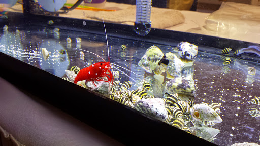 Convention Center «Northshore Harbor Center», reviews and photos, 100 Harbor Center Blvd, Slidell, LA 70461, USA