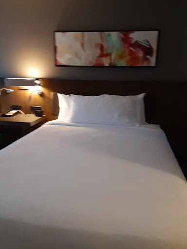 Hotel «Hilton Garden Inn Waltham», reviews and photos, 450 Totten Pond Rd, Waltham, MA 02451, USA