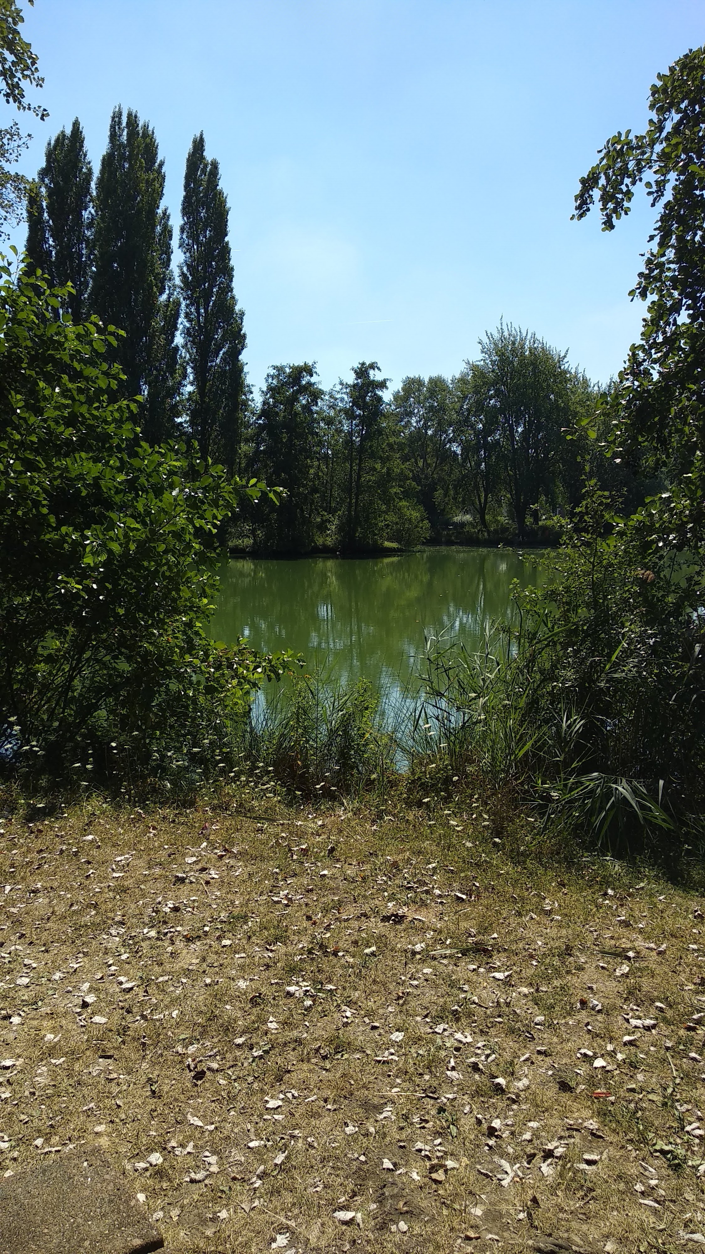 Photo n° 1 de l'avis de Jérémy.r fait le 05/08/2018 à 21:58