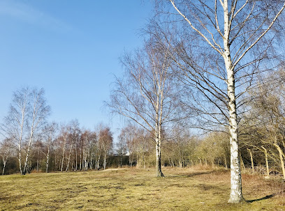 King's Meadow Nature Reserve