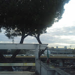 Photo n°5 de l'avis de Giuseppe.o fait le 17/09/2017 à 10:22 sur le  Hotel 4 Pini à Rome