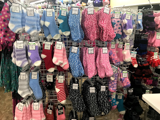 Dollar Store «Dollar Tree», reviews and photos, 2151 Lemoine Ave, Fort Lee, NJ 07024, USA