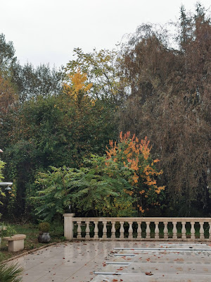 Maison et Services Périgueux | Ménage, repassage, jardinage, nettoyage des vitres à Périgueux