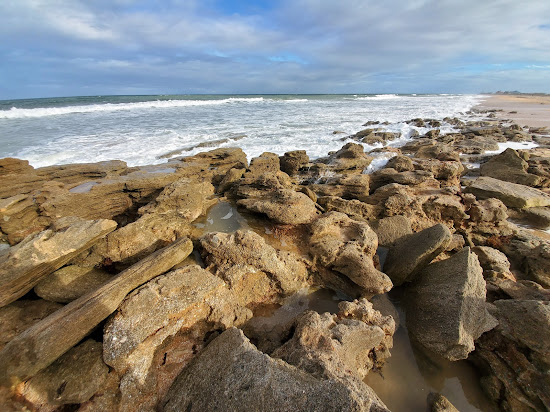 Flagler beach