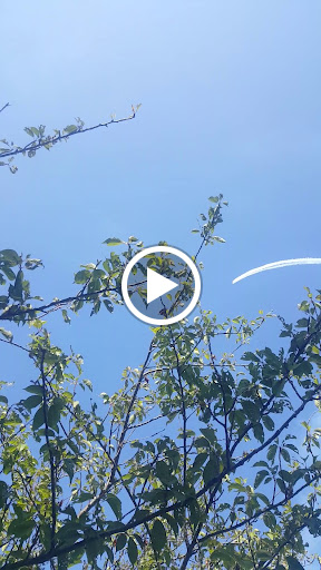 Park «Genesee Park and Playfield», reviews and photos, 4316 S Genesee St, Seattle, WA 98118, USA