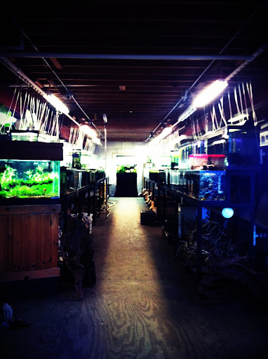 Pet Supply Store «Oddball Pets and Aquariums», reviews and photos, 262 Joseph St, Pittsburgh, PA 15227, USA