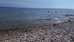 Barbariga beach'in fotoğrafı - rahatlamayı sevenler arasında popüler bir yer