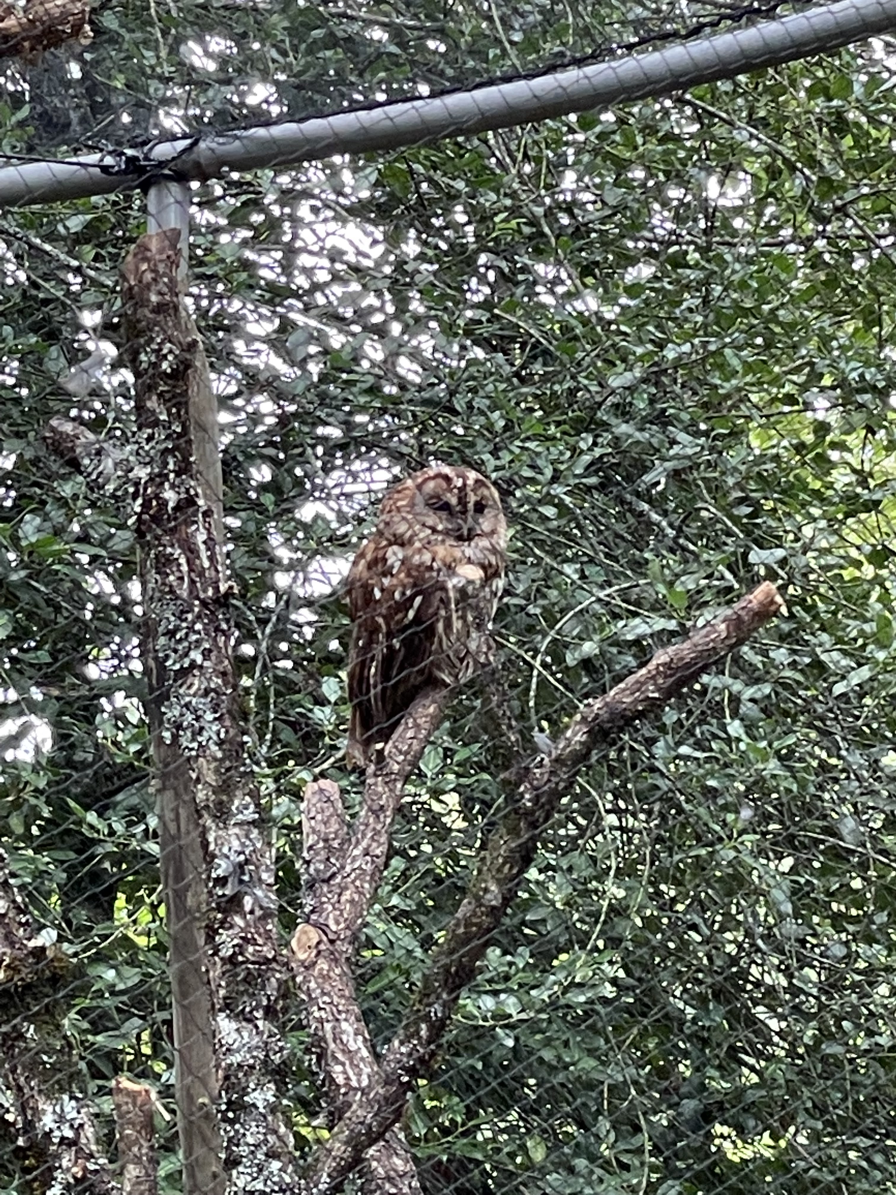 Photo n° 5 de l'avis de Saïd.l fait le 03/08/2021 à 16:42