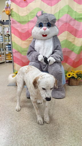 Pet Supply Store «PetSmart», reviews and photos, 8210 Macedonia Commons Blvd #10, Macedonia, OH 44056, USA