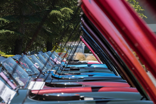 Museum «The Cobra Experience - Museum & Event Space», reviews and photos, 777 Arnold Dr Suite 200, Martinez, CA 94553, USA