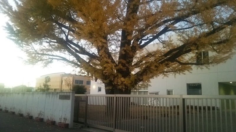 太田市立木崎小学校