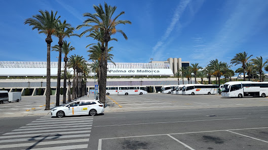 Sidetours PMI Aeropuerto Son Sant Joan Aeropuerto de Palma de Mallorca, 07611 Palma, Balearic Islands, España