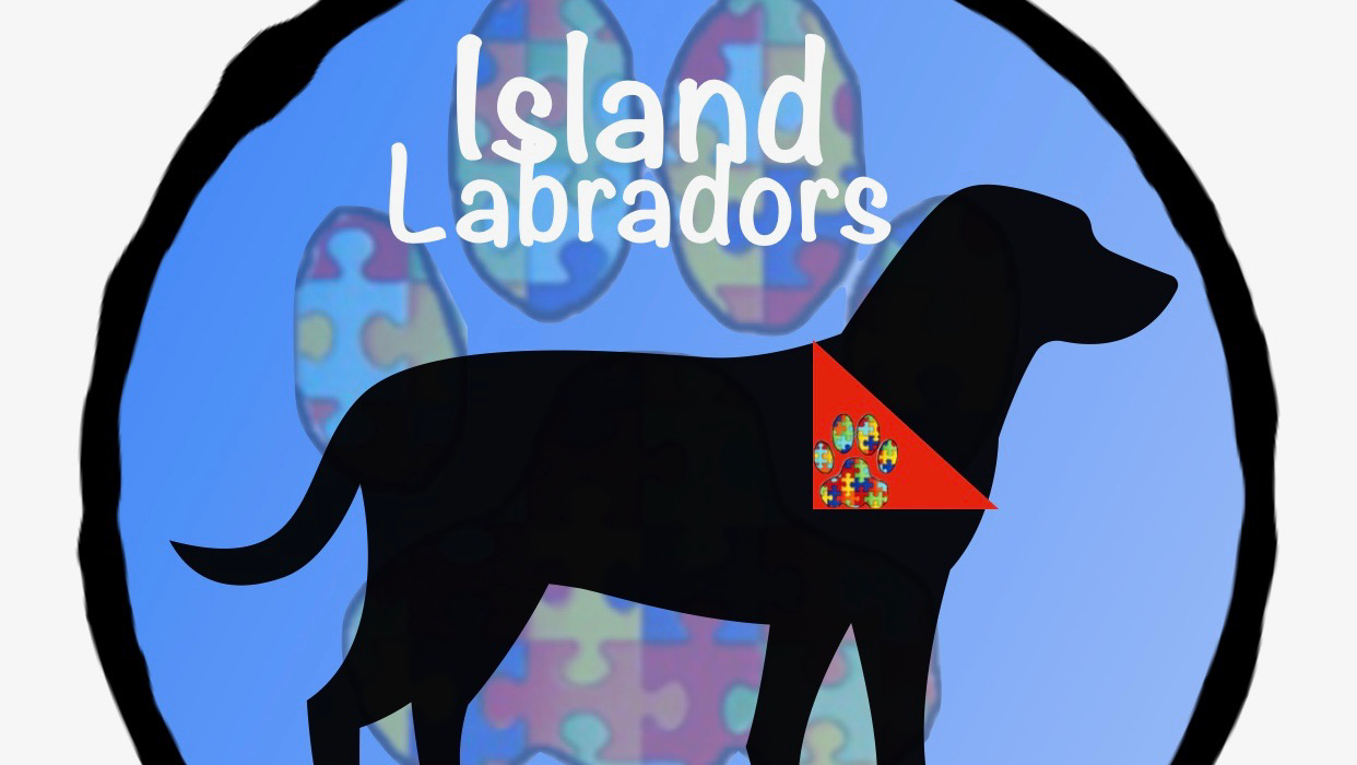 Island Labradors