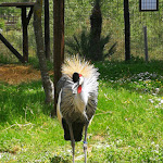 Photo n°9 de l'avis de Raffaele.i fait le 28/04/2019 à 10:10 sur le  Oasi Fiume Alento à Prignano Cilento