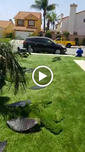 Elite Artificial Grass image
