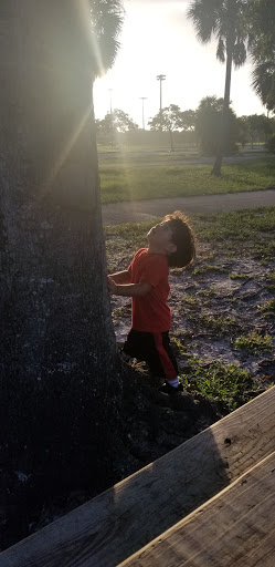 Park «Brian Piccolo Sports Park & Velodrome», reviews and photos, 9501 Sheridan St, Hollywood, FL 33024, USA