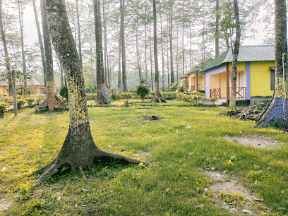 Gachbari Jaldapara Resort