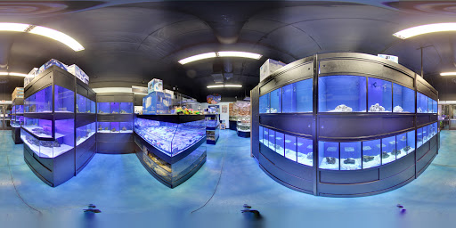 Tropical Fish Store «Pisces Reef Fish Emporium, LLC», reviews and photos, 9326 W Sahara Ave, Las Vegas, NV 89117, USA