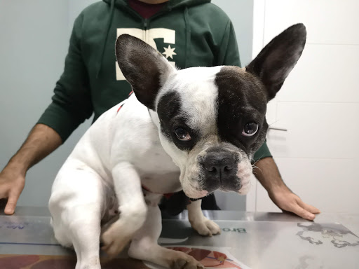 Centro Veterinario La Granja en Santa Cruz de Tenerife