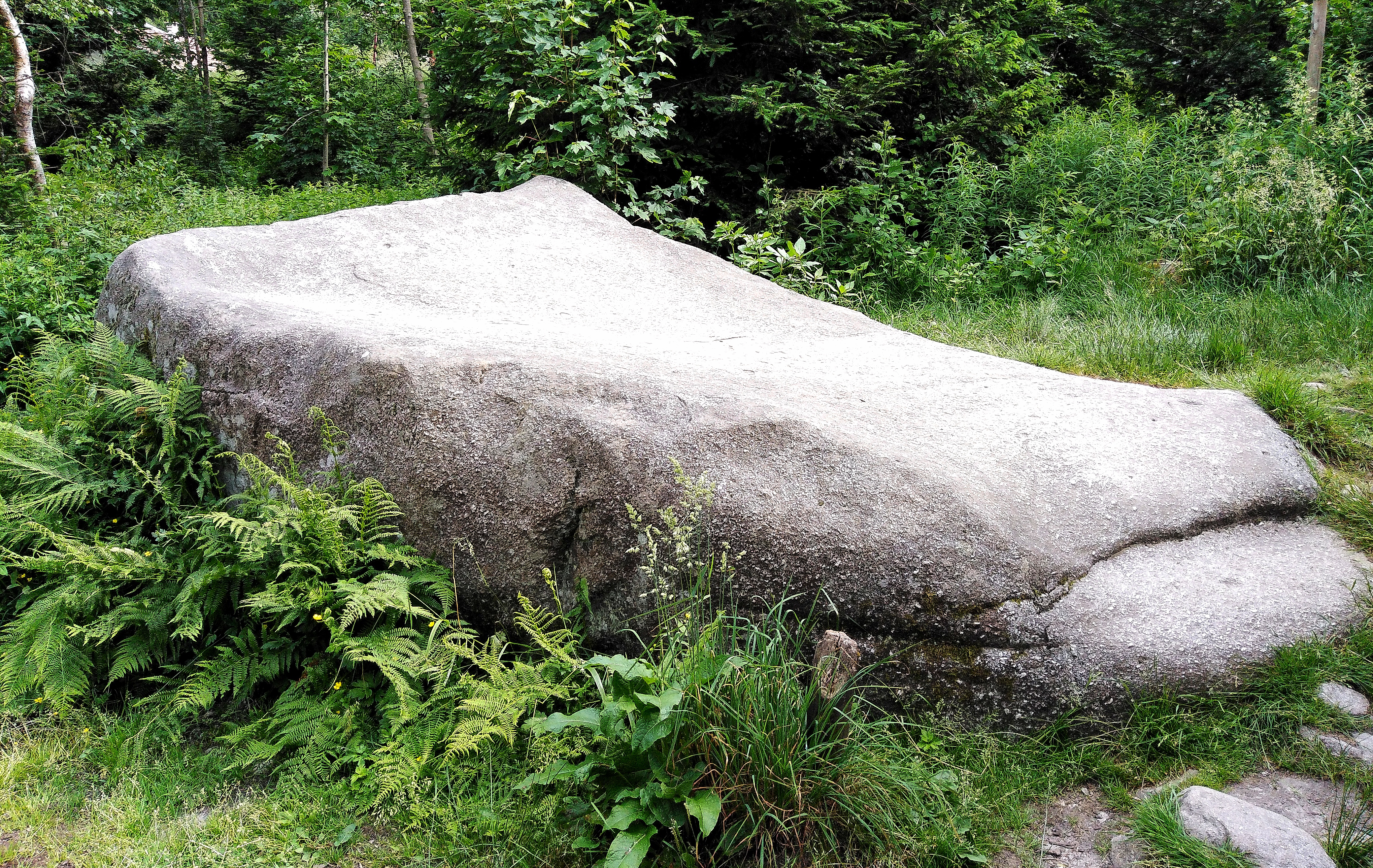 Photo n° 4 de l'avis de RETEUX.i fait le 31/01/2022 à 16:32