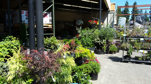 Hardware Store «Cedar Plaza Ace Hardware», reviews and photos, 22803 44th Ave W, Mountlake Terrace, WA 98043, USA