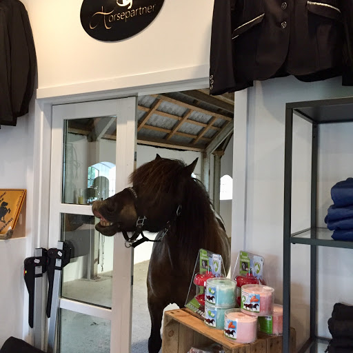 Horsepartner in Østervrå, Frederikshavn