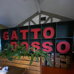 Photo n°1 de l'avis de Andrea.e fait le 10/06/2023 à 16:48 sur le  Gatto Rosso à Venice