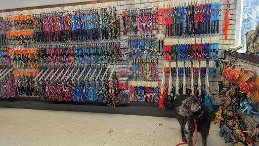 Pet Supply Store «Four Your Paws Only», reviews and photos, 1821 White Mountain Hwy, North Conway, NH 03860, USA