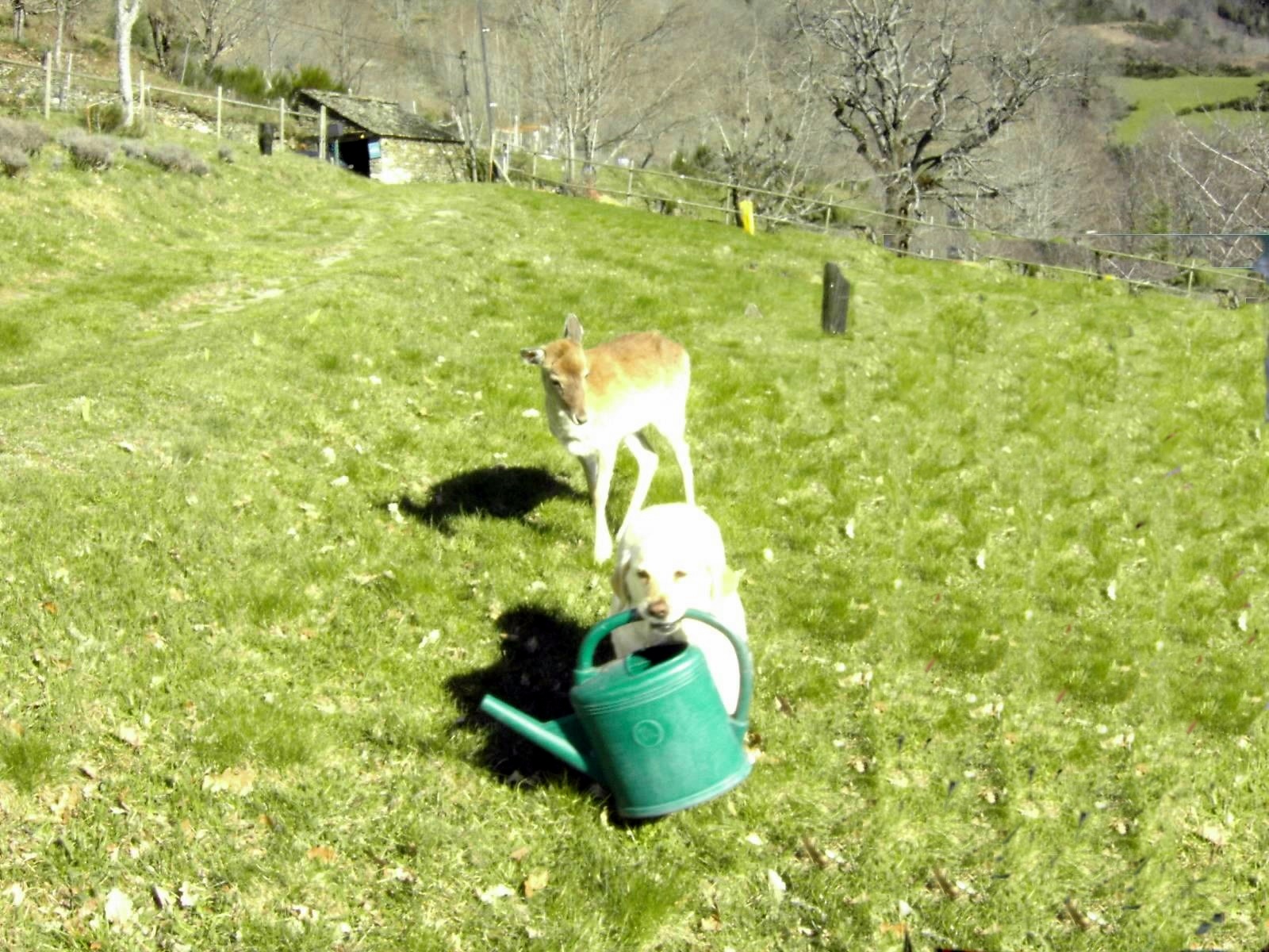 Photo n° 2 de l'avis de Edmond.a fait le 20/04/2015 à 16:30