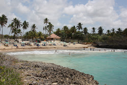 Foto von Karibischer Strand und die siedlung