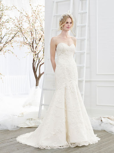 Bridal Shop «Dalis Bridal Boutique», reviews and photos, 2451 SW 27th Ave, Ocala, FL 34474, USA