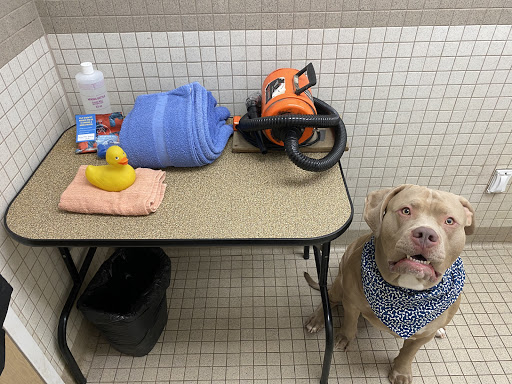 Pet Supply Store «Pet Life | Supplies, Services & Knowledge», reviews and photos, 20 Portsmouth Ave, Stratham, NH 03885, USA