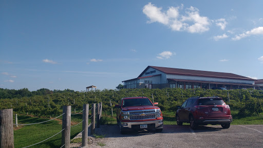 Vineyard «Cedar Ridge Winery & Distillery», reviews and photos, 1441 Marak Rd NW, Swisher, IA 52338, USA