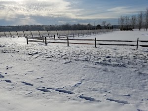 White Horse Winery - photo 83