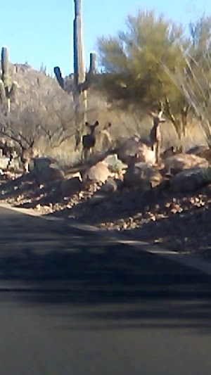 The Stone Canyon Club - photo 50