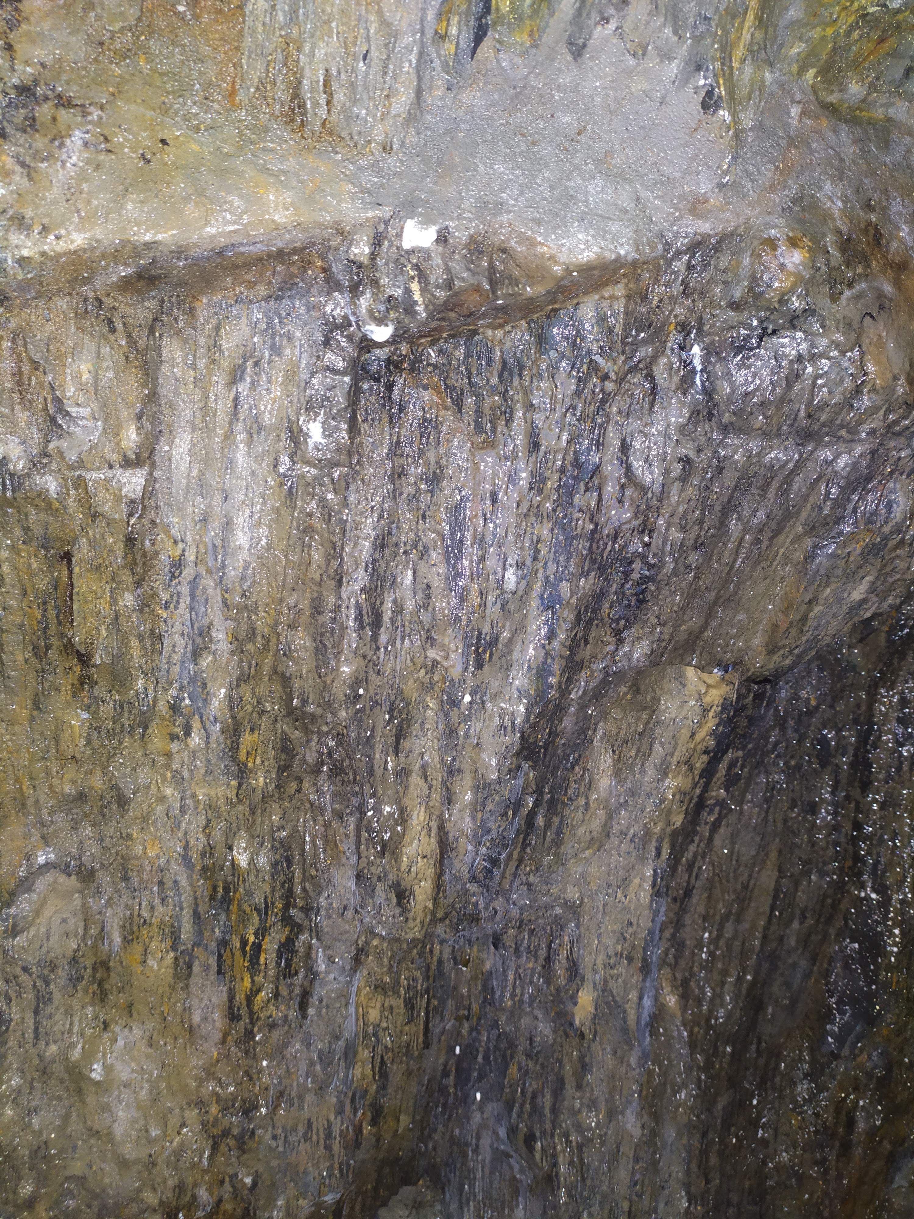 Photo n° 31 de l'avis de Céline.r fait le 20/02/2020 à 17:52