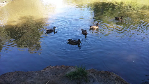 Park «Bear Creek Park», reviews and photos, 3550 S Raleigh St, Denver, CO 80236, USA