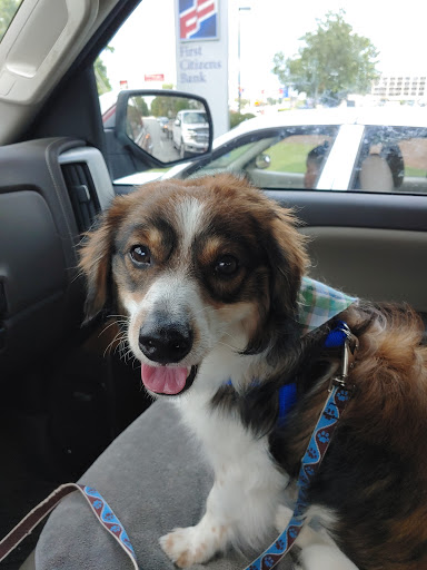 Pet Supply Store «Petsense Columbia», reviews and photos, 7402 Garners Ferry Rd, Columbia, SC 29209, USA