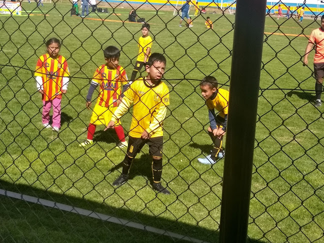 Opiniones de Complejo Deportivo Roosevelt en Alto Selva Alegre - Campo de fútbol