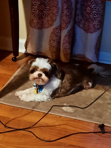 The Groom Room, 1180 Long Hollow Pike, Gallatin, TN 37066, USA, 