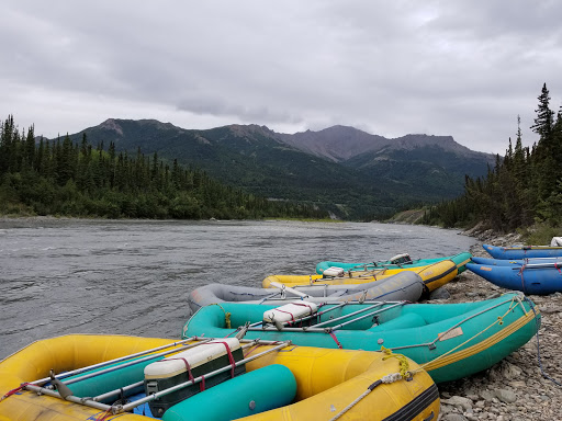 National Park «Denali National Park and Preserve», reviews and photos