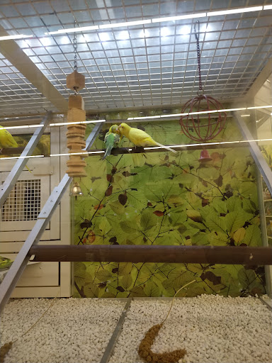 Pet Supply Store «PetSmart», reviews and photos, 1520 Pleasant Valley Rd, Manchester, CT 06042, USA