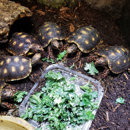 Pet Store «Fish Bowl Aquarium & Pet Mart», reviews and photos, 725 Providence St, West Warwick, RI 02893, USA