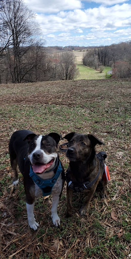 Dog Park «Dog Park», reviews and photos, 9068-9156 Wheatsheaf Rd, Morrisville, PA 19067, USA